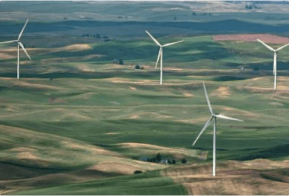 Wind turbines harvesting wind energy amidst a verdant landscape, aligning with StoneX's commitment to renewable energy and sustainability.